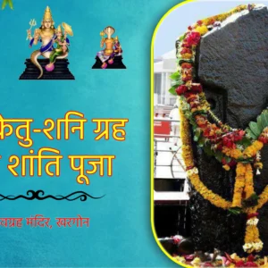 Rahu Ketu Shani Dosha Shanti Puja