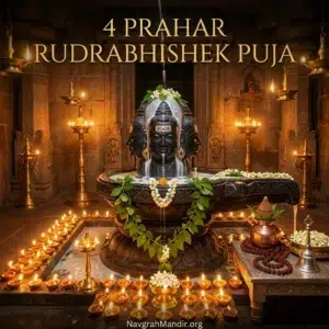 Special Mahashivratri 4 Prahar Rudrabhishek Puja of Panchmukhi Mahadev at Shri Navgrah Mandir