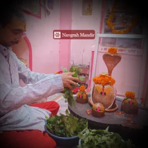 1008 Bilva Patra Archana Puja with Shiva Sahastranamavali Online