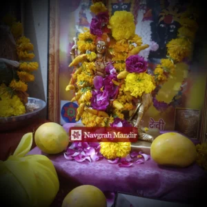 Baglamukhi Puja Online