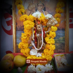 Hanuman Puja Online