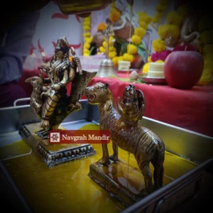 Shani-Rahu Oil Abhishekam Puja