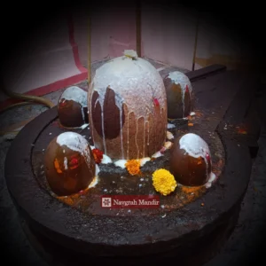 Shiva Panchamrit Abhishekam Puja