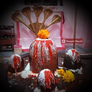 Shiva Rudrabhishekam Puja