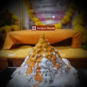 Shree Sukta Shree Yantram Puja