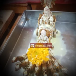 Surya Abhishek Puja Online